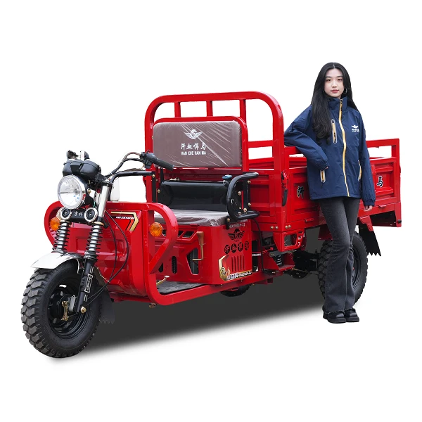 รถสามล้อบรรทุกสินค้า 150cc น้ำมันเบนซิน