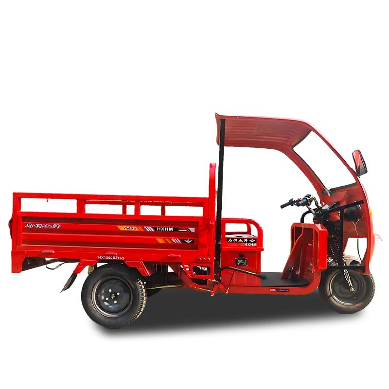 HD-09 Electric Cargo Tricycle with Roof HD-09 Electric Cargo Tricycle with Roof