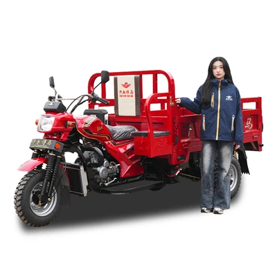 รถสามล้อบรรทุกหนักแบบเปิดขนาด 200cc