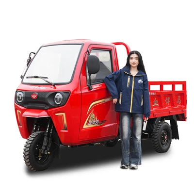 รถสามล้อบรรทุกสินค้าบำรุงรักษาต่ำ 175cc-
